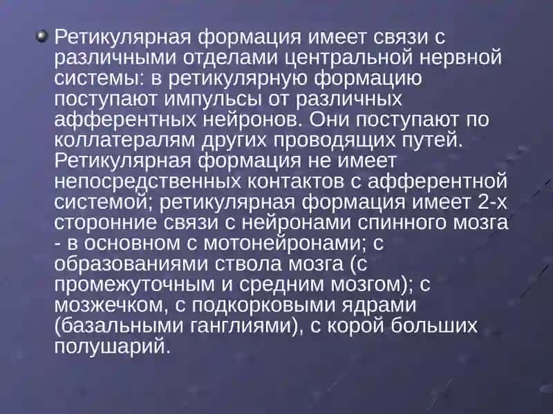 Ретикулярная формация, Лимбическая система, Лимбико-ретикулярный комплекс 3
