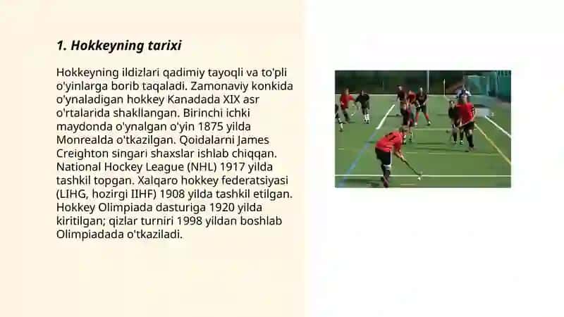 Hokkey sport turi 3