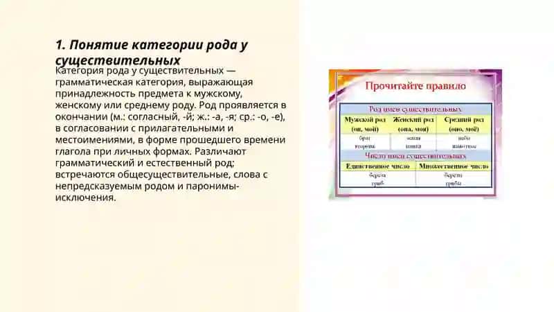 Категории рода и число 3
