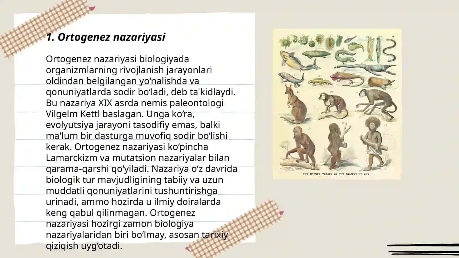 Ortogenez. Embirional taraqqiyotning xususiyatlari 3