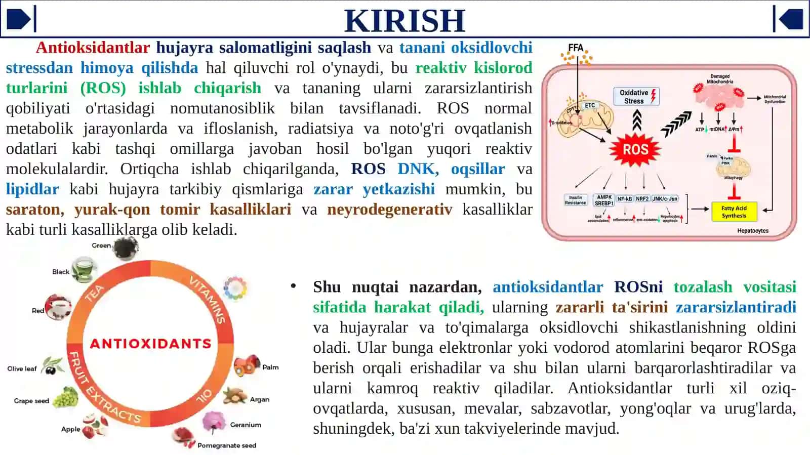 Antioksidantlar. Ularning klinikada qo'llanilishi 3