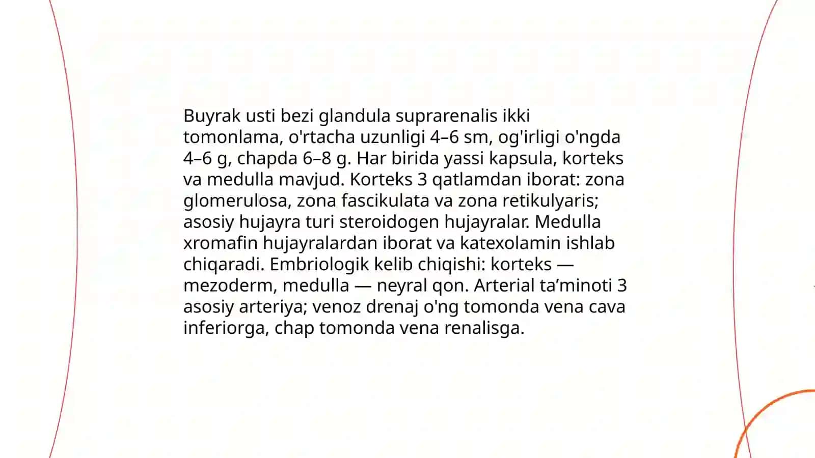 Buyrak usti bezi anatomiyasi va morfologiyasi 3
