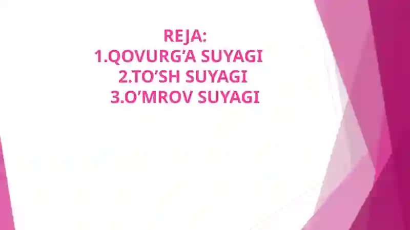 Qovurgʻa, Toʻsh suyagi, Oʼmrov suyagi 3