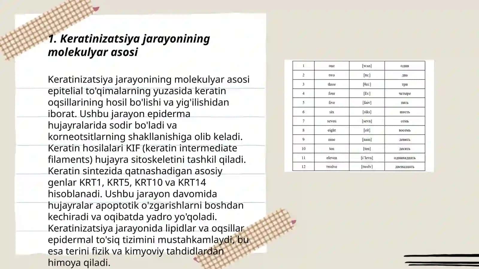 Keratinizatsiya jarayonlari haqida zamonaviy tasavvurlar 3