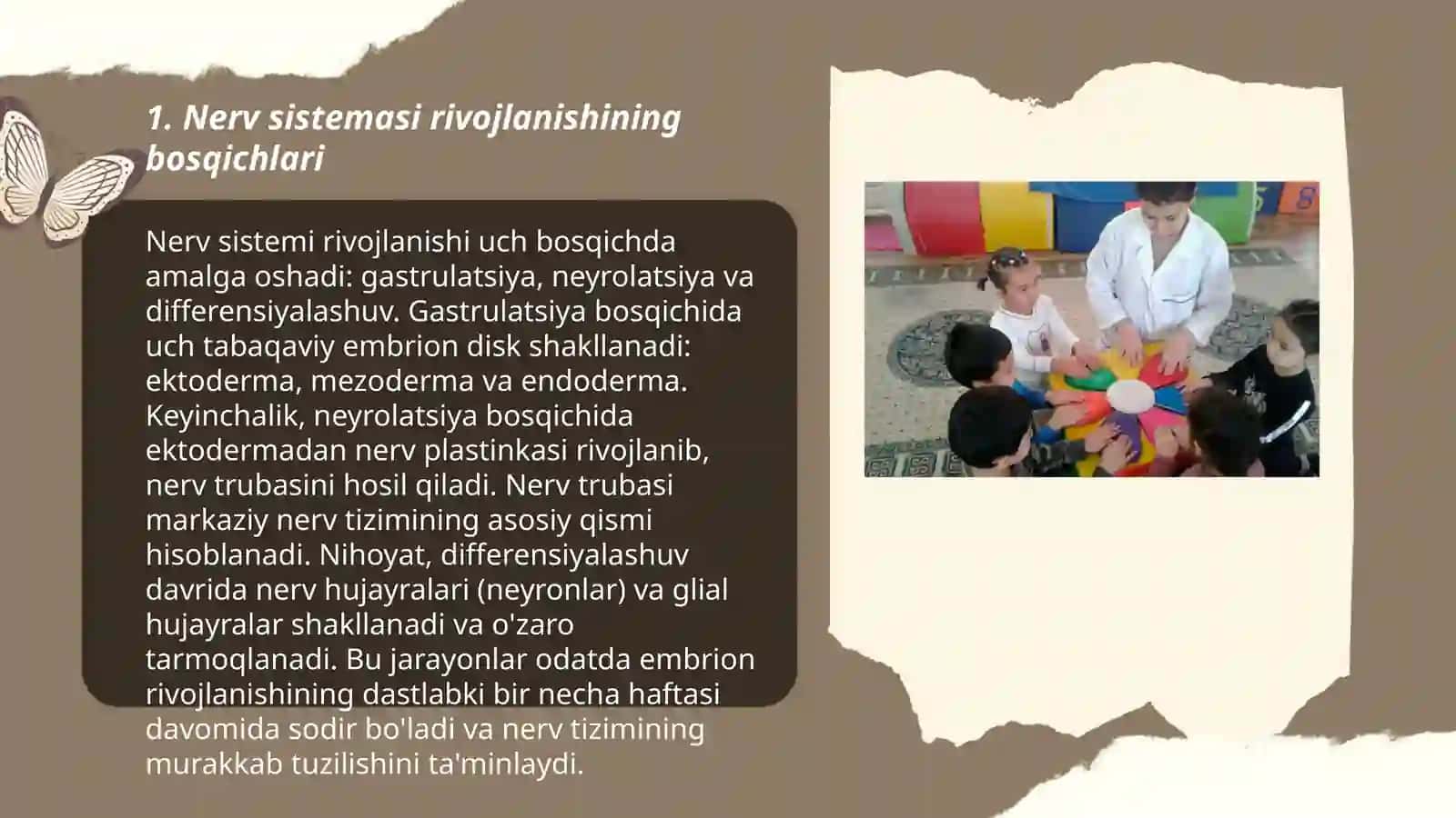 Ilk va maktabgacha yoshdagi bolalar nerv sistemasi va miyasining rivojlanishi 3