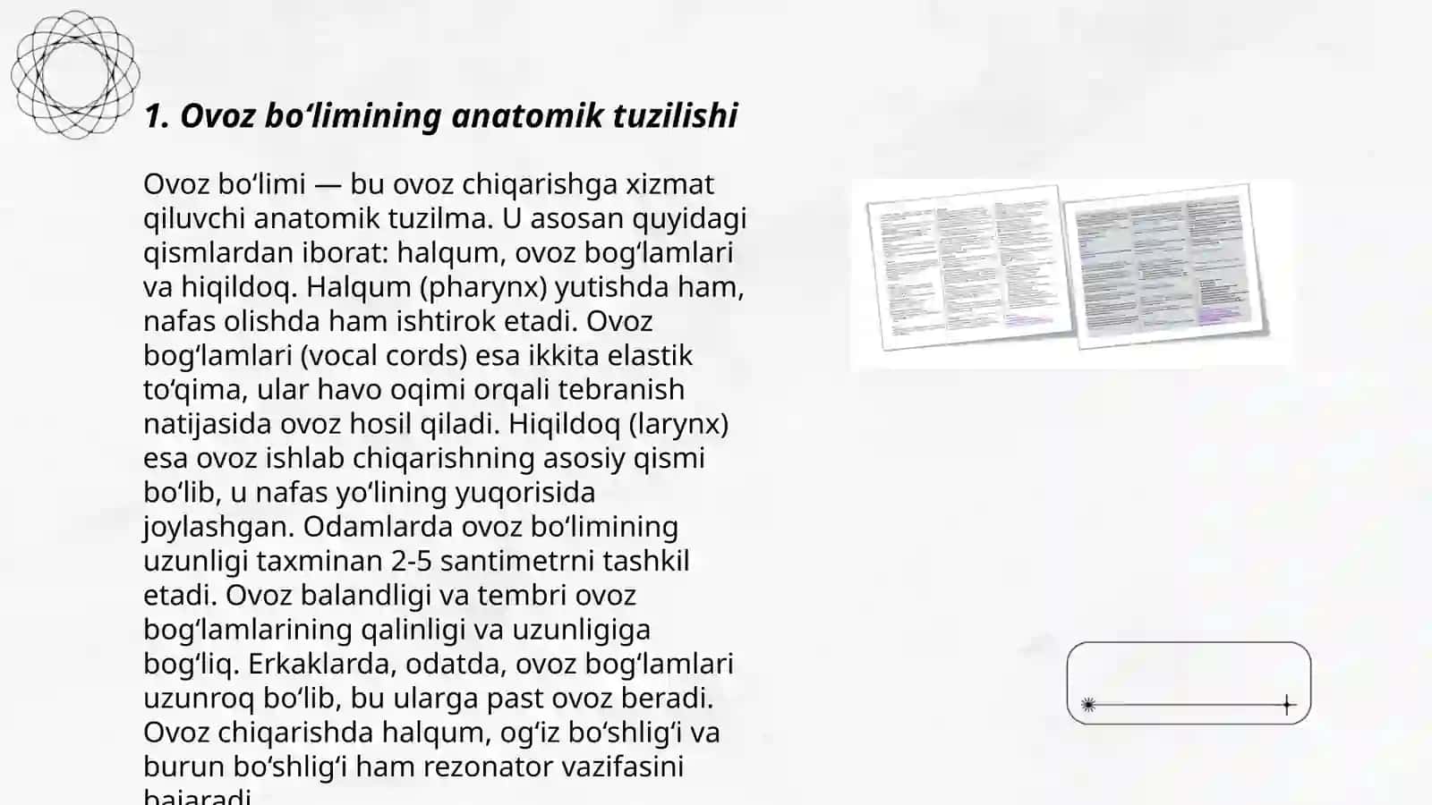 Ovoz boʻlimining tuzilishi, faoliyati va nevrologik asoslari 3