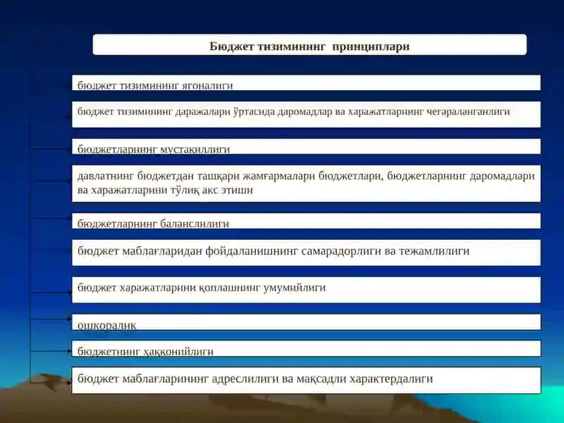 Бюджет тизими 3
