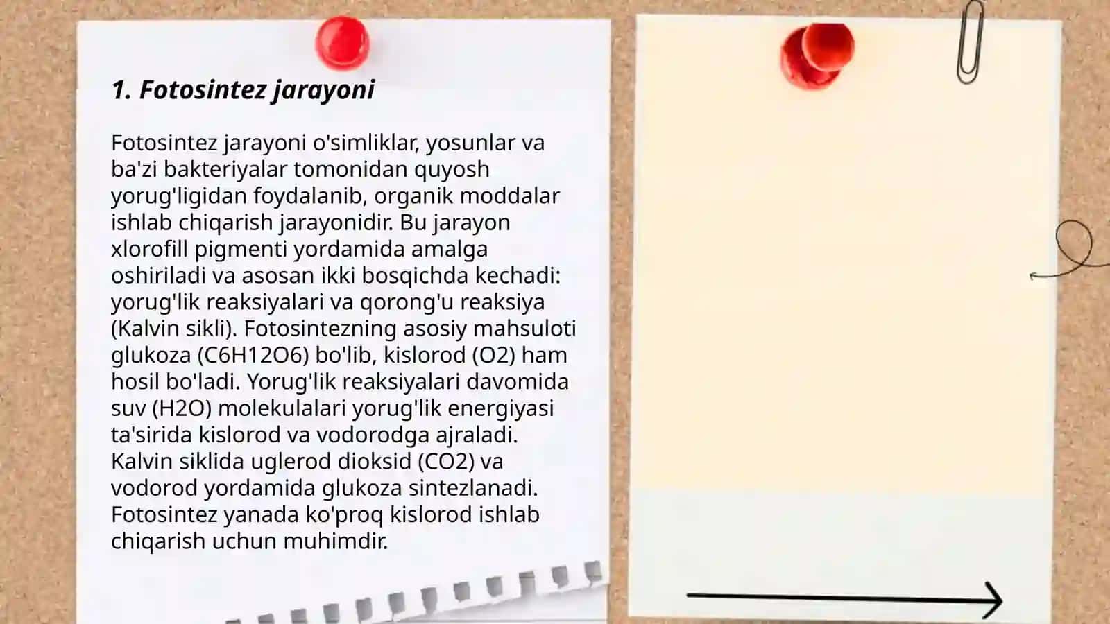 O’simliklar dunyosi va ularni yashash tarzi 3