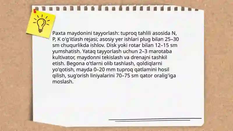 Paxta ishi 3