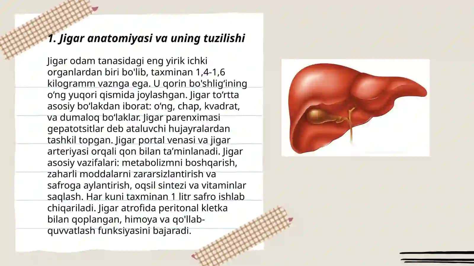 Jigar anatomiyasi va uning tuzilishi 3