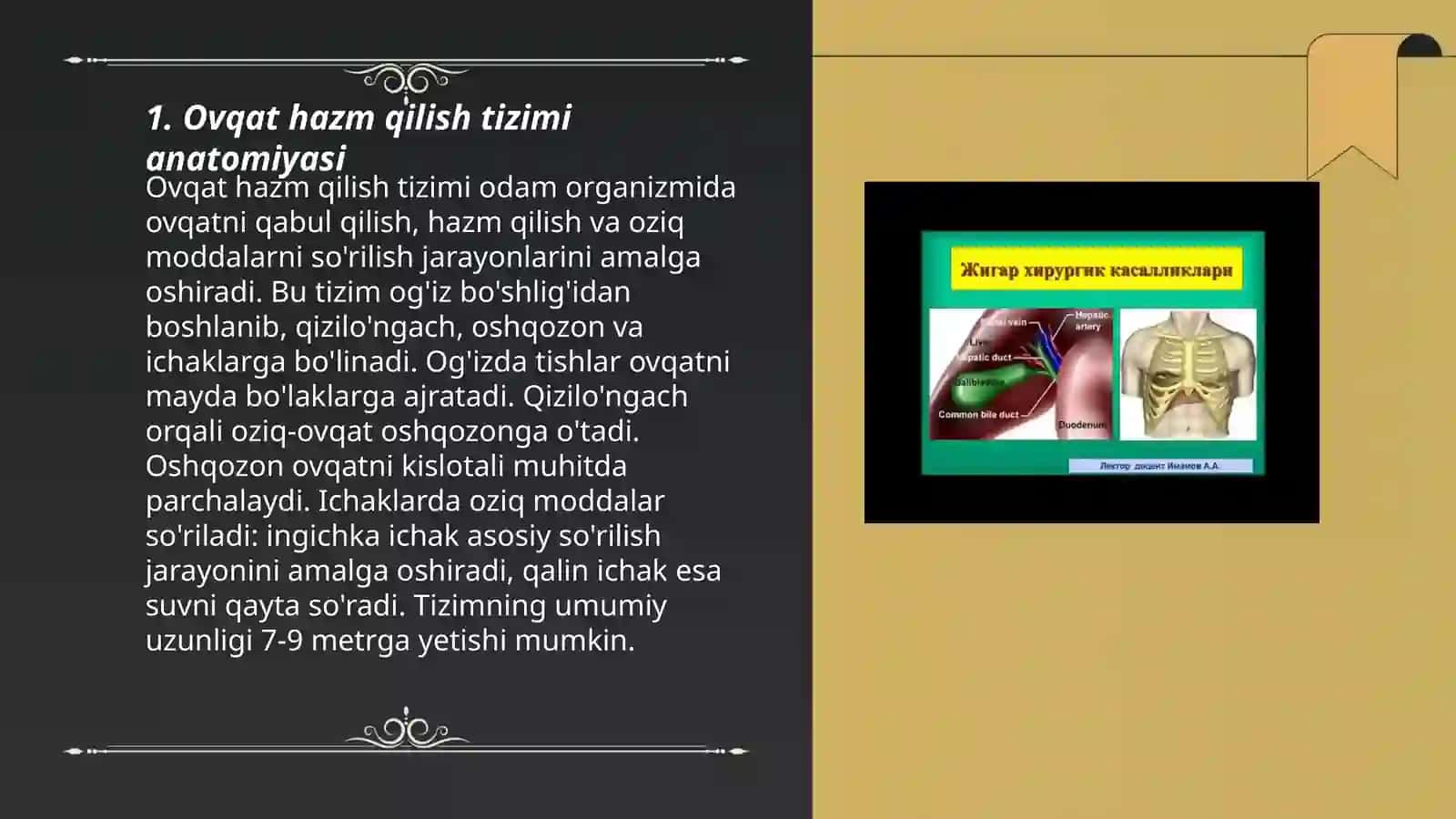 Ovqat hazm qilish tizimi anatomiyasi 3