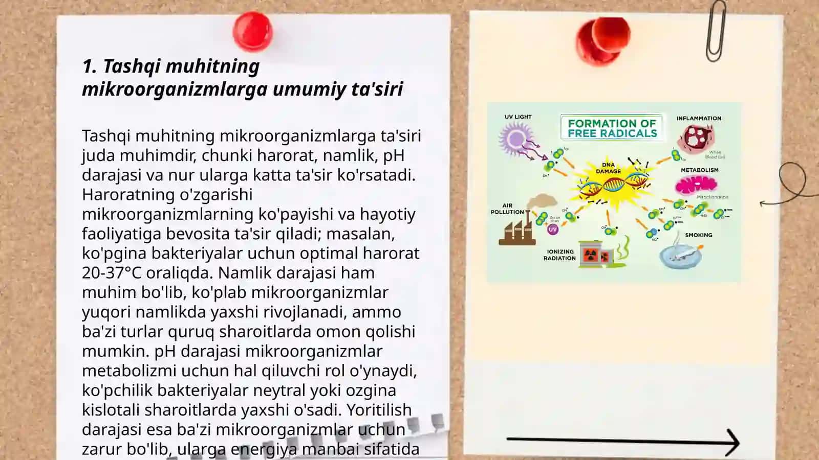 Tashqi muxit omilarining mikroorganizmlarga tasiri Mikroorganizmlarga kimyoviy va fizikaviy omillarni tasiri Strezatsiya qilishusulari Strezatsiyani sifatini tekshirish 3