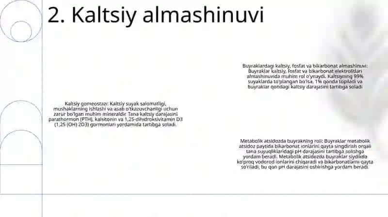 Buyrakda Kalsiy, Fosfor Va Bikarbonatlar Almashinuvi 3