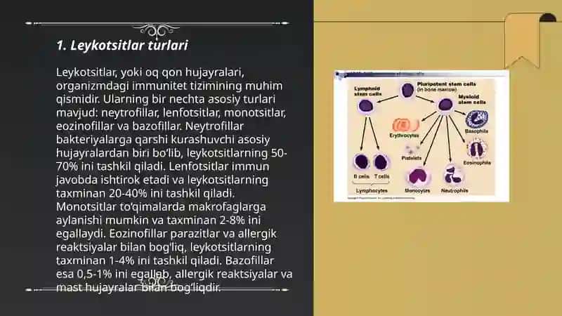 Leykotsitlar va immunitet 3
