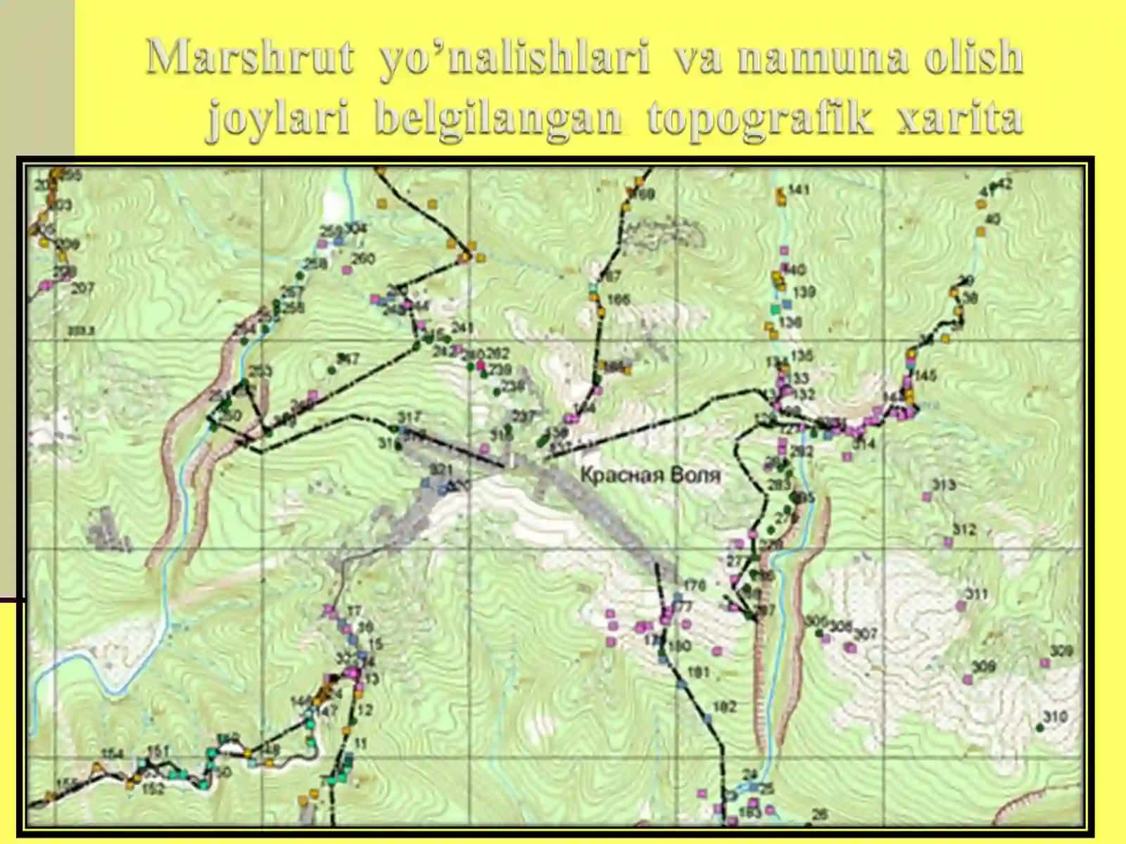 Geologik xaritalar 3