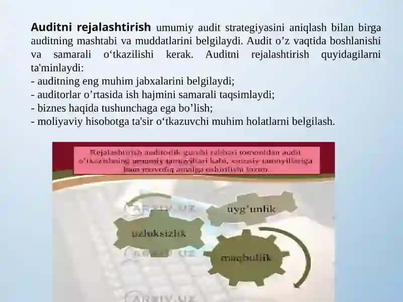 Auditni rejalashtirish 3