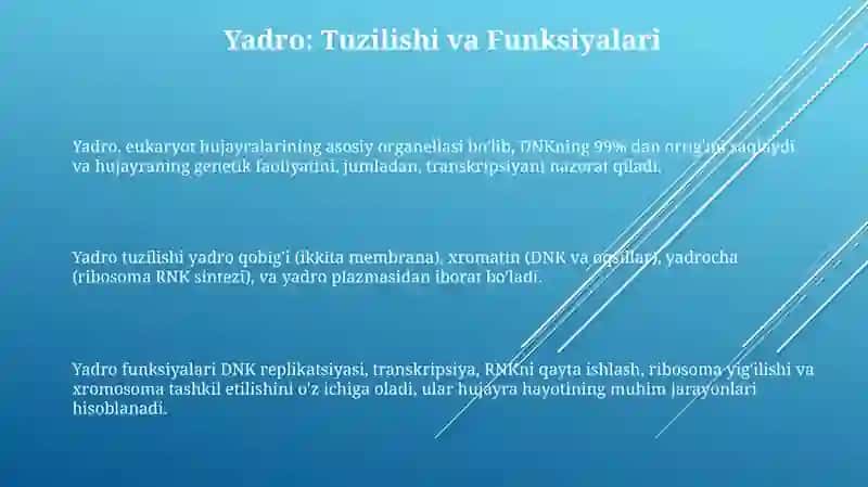 Yadro 3