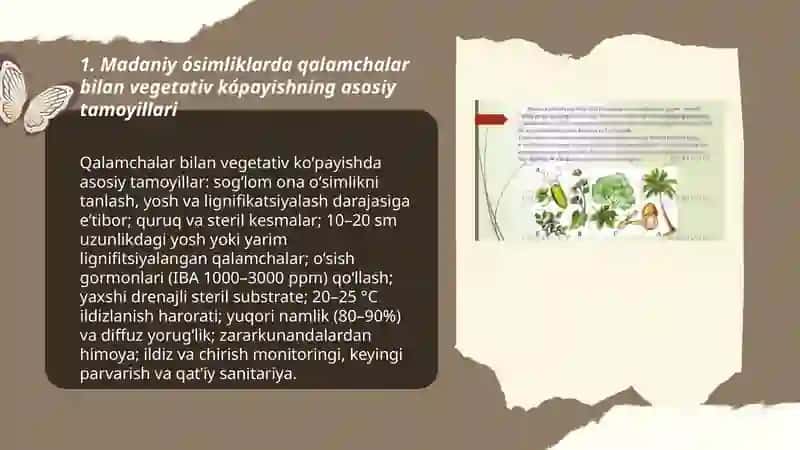 Madaniy ósimliklarning qalamchalar va yovvoyi ósimliklarning ildizbachkisi va ildizpoyalari orqali kópayishi 3