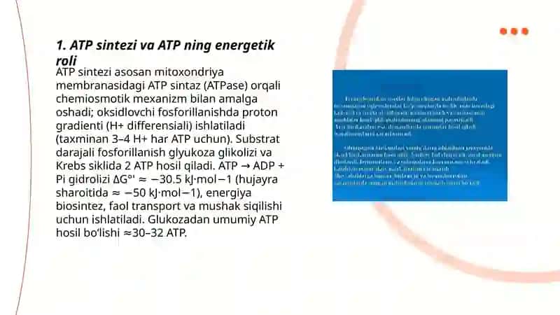 Metabalizm jarayonida energiya hosil boʻlishi va sarflanishi 3