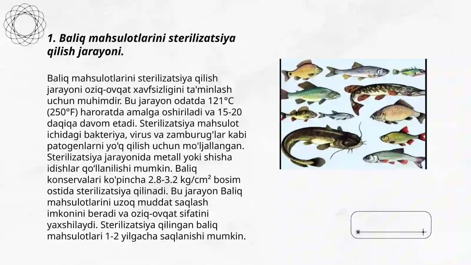 Baliq mahsulotlarini bonkalarga qadoqlash texnologiyasi 3