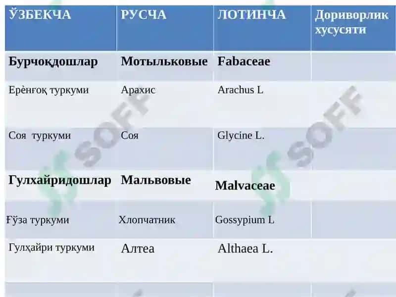 Толали доривор ўсимликлари 3