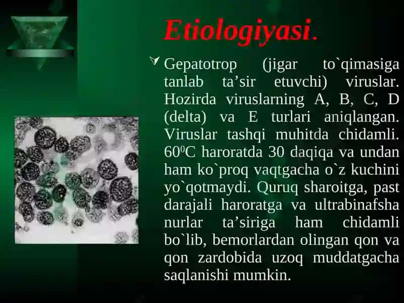 Virusli gepatit kasalligida bemor bolaga hamshiralik parvarishi 3