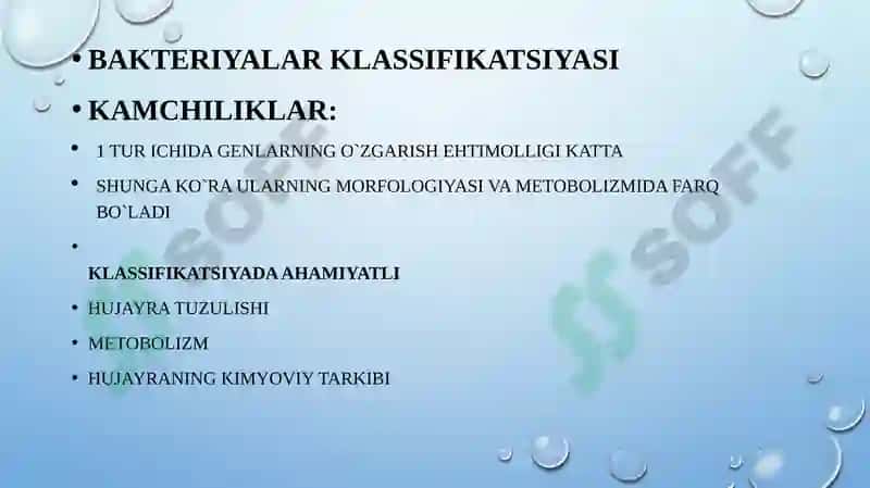 Bakteriyalaring “bejri” sinamasi 3