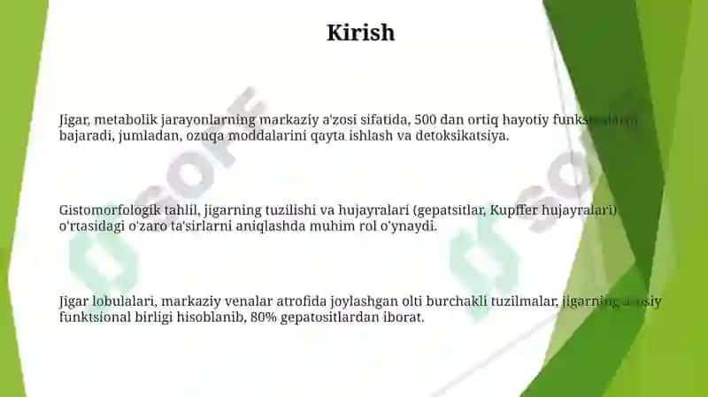 Jigar 3