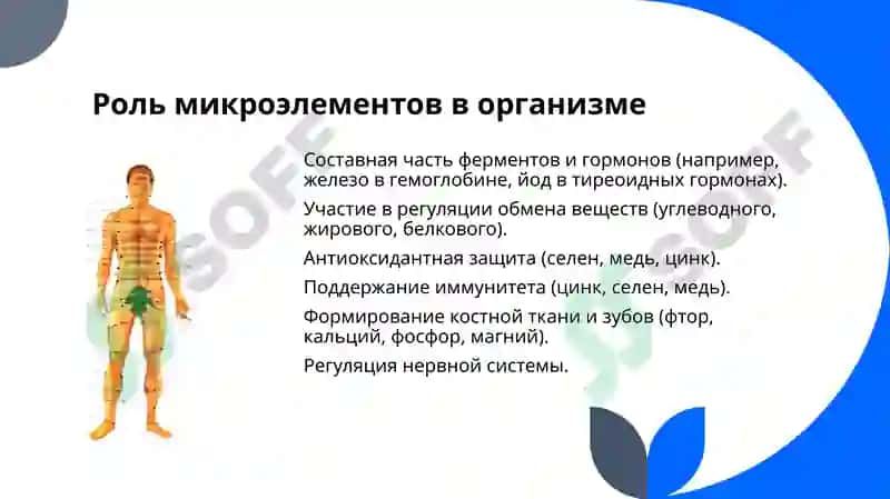 Микроэлементозы. Избыток фтора, кальция. Заболевания, вызванные дефицитом микроэлементов, и их профилактика 3