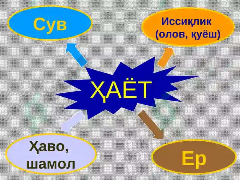 ЭНEРГEТИКAҲАҚИДА УМУМИЙ ТУШУНЧА 3
