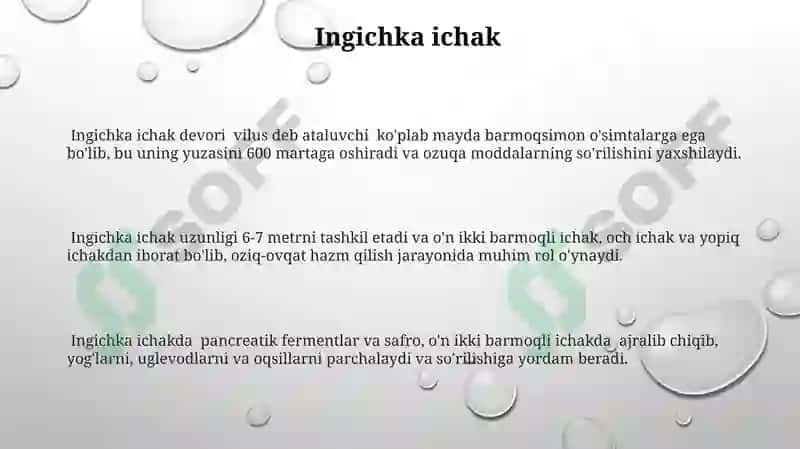 Ovqat hazm qilish sistemasi 3