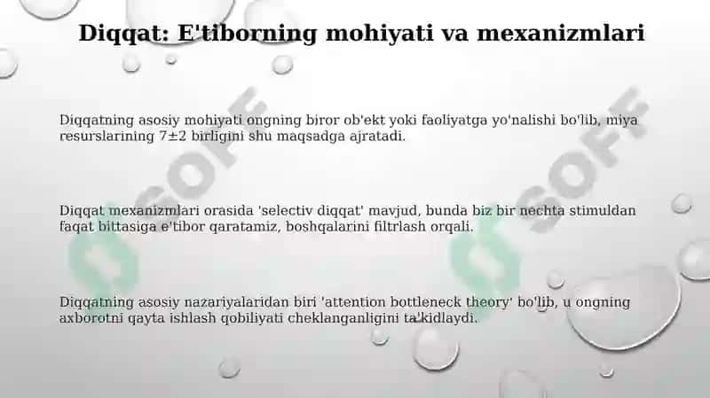 Diqqat, sezgi va idrok 3