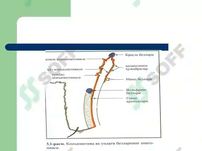 Тошкент Тиббиёт академияси 3