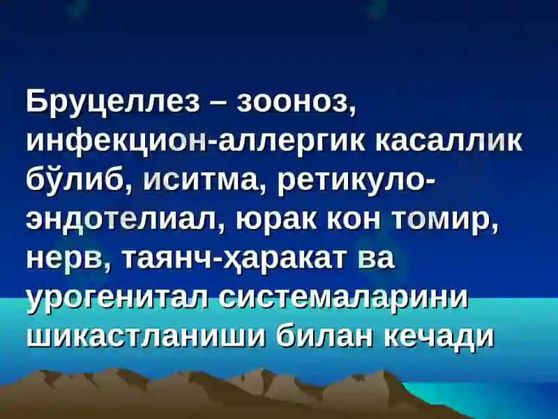 Бруцеллез 3