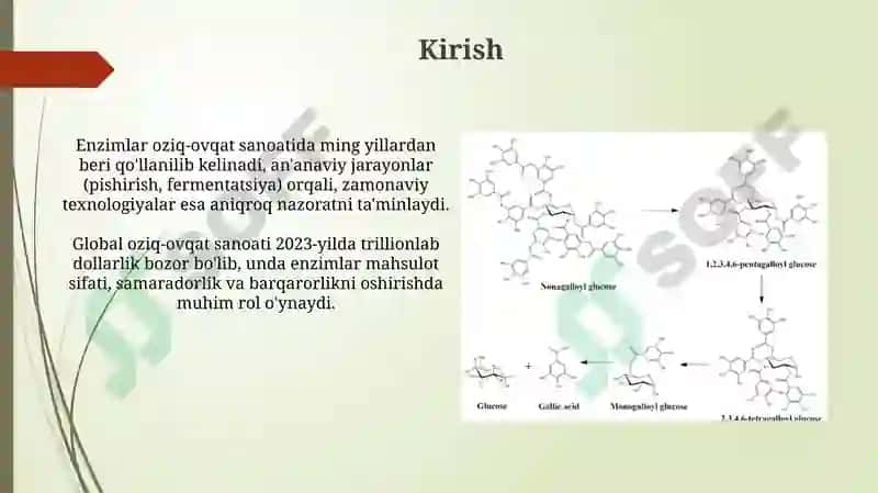 Enzimlar oziq-ovqat sanoatida yangi texnologik yechimlar 3