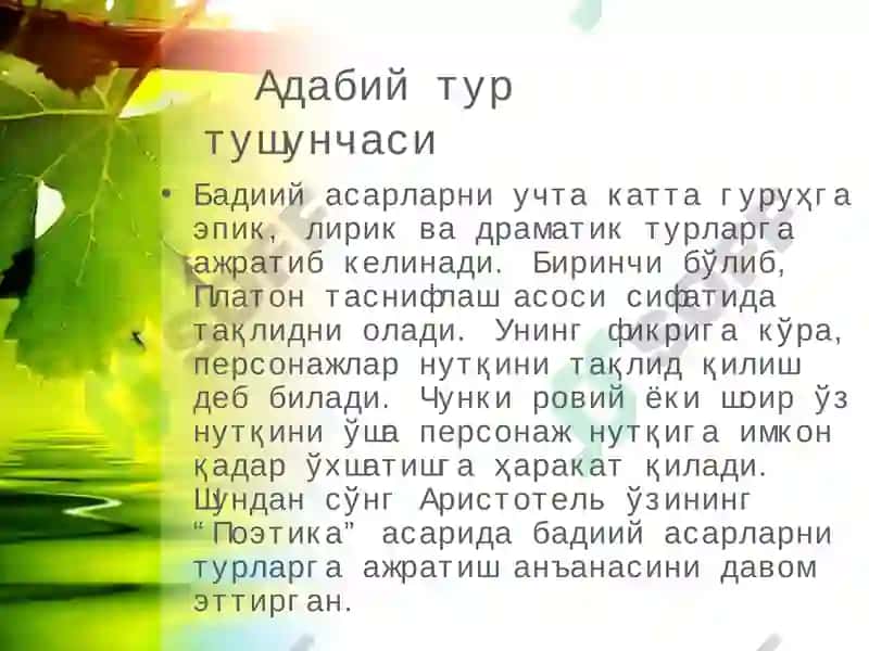 Адабий тур тушунчаси 3