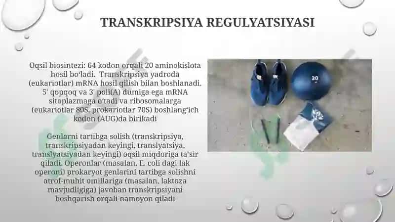 Oqsil biosintezi va uning genetik darajasidagi regulyatsiyasi 3
