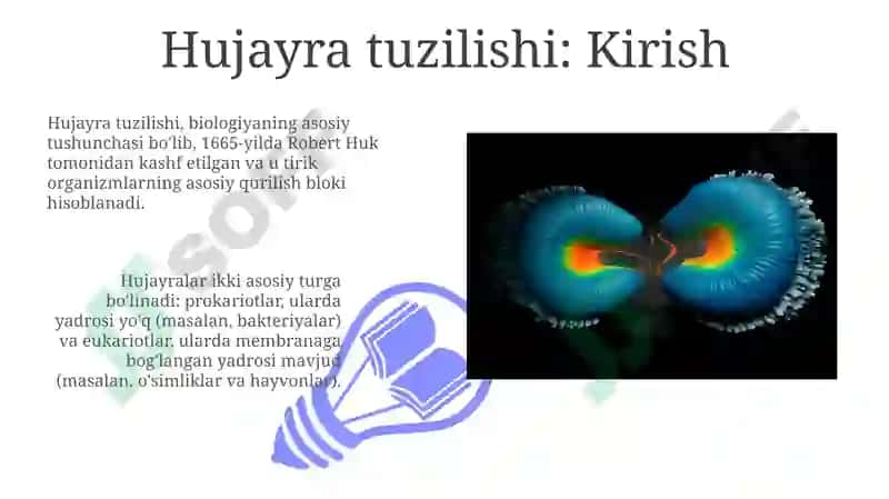 Hujayratuzilishi, Hujayranazariyasi, Genetikinjeneriya 3
