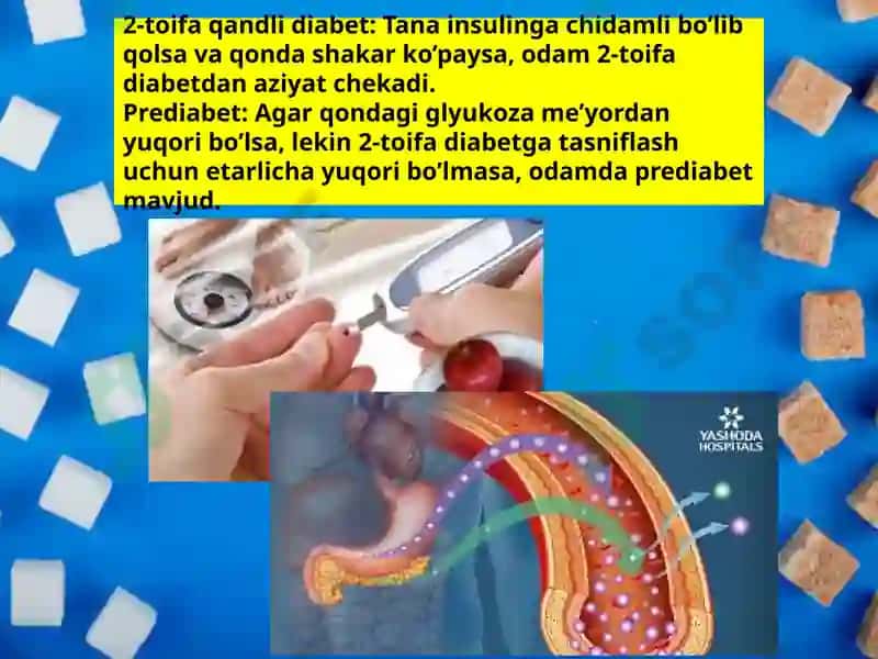 Qandlidiabet 3