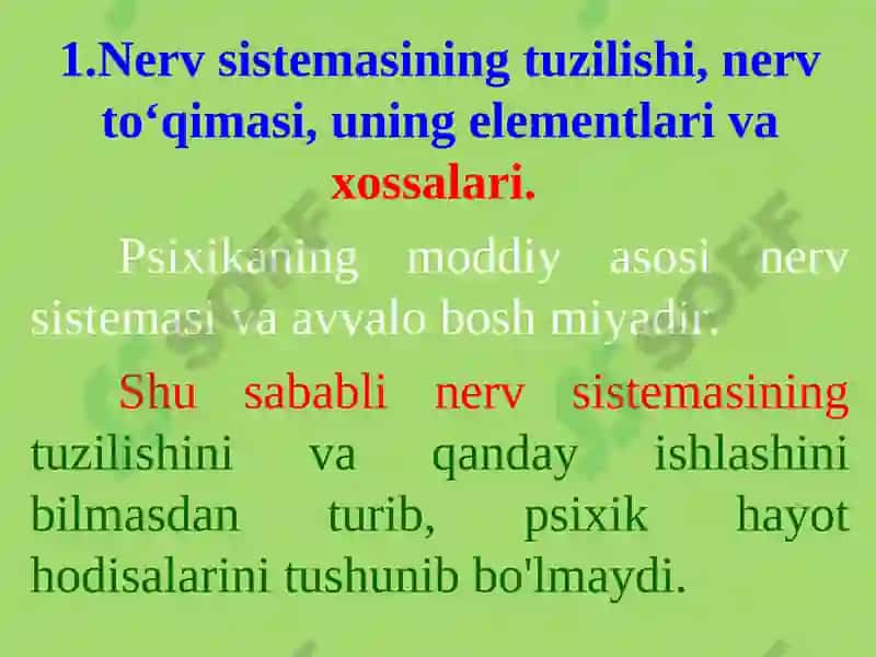 PSIXIKANING NERV-FIZIOLOGIK ASOSLARI 3