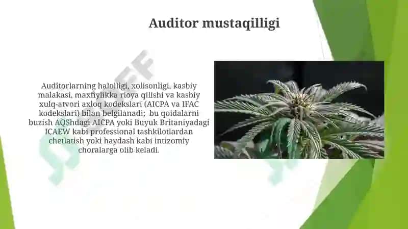 Auditorlik professional etikasi va auditorning huquqiy javobgarligi 3