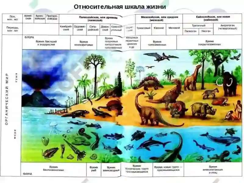 O‘RTA OSIYONING GEOLOGIK TUZILISHI.GEOLOGIK VAQT HISOBI 3
