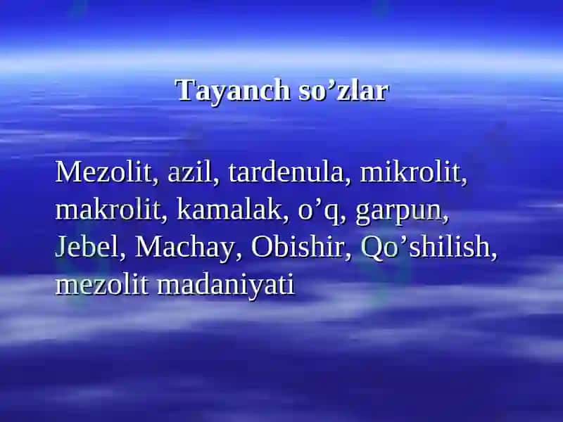 Mezolit davri manzilgohlari va ixtirolari 3