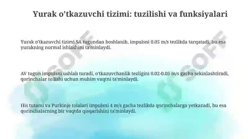 Yurakning o'tkazuvchi yo'llari. Yurak innervasiyasi 3