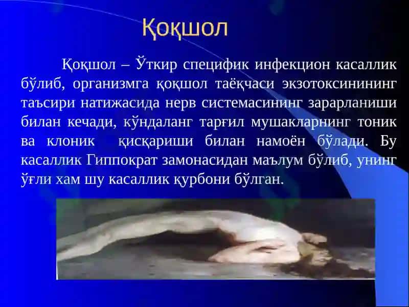 QOQSHOL va QUTURISH 3