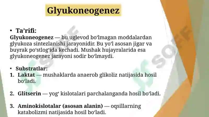 Glyukoneogenez. Pentozofosfat yo‘lining ahamiyati. Fruktoza va galaktoza almashinuvi. Glyukoza gomeostazi, boshqarilishi 3
