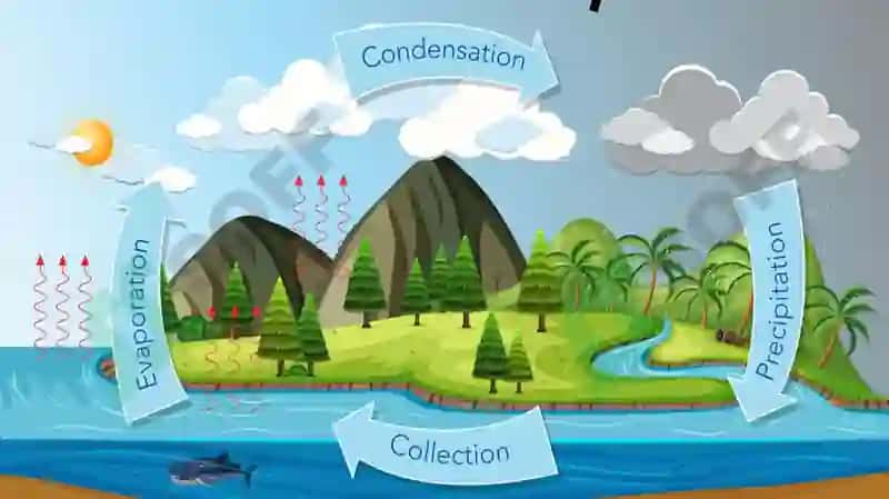 Water and Water Structure 3