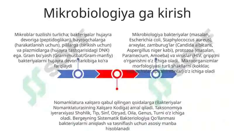 Mikroorganizmlar morfologiyasi va nomenklaturasi 3