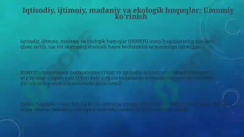 Iqtisodiy, ijtimoiy, madaniy va ekologik huquqlar 3
