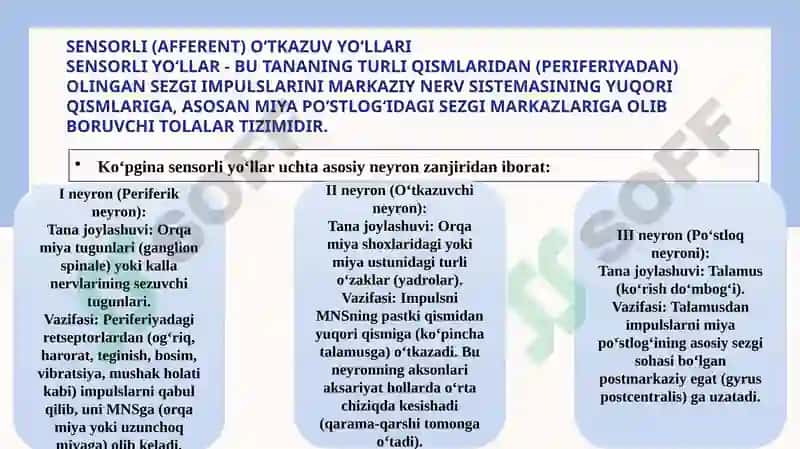 bosh va orqa miya oʻtkazuv yo'llari 3